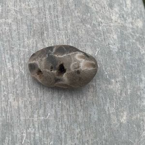 Petoskey stone